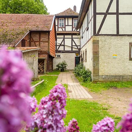 Forsthaus Halbemark Villa Bad Sooden-Allendorf Exterior photo