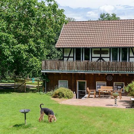 Forsthaus Halbemark Villa Bad Sooden-Allendorf Exterior photo