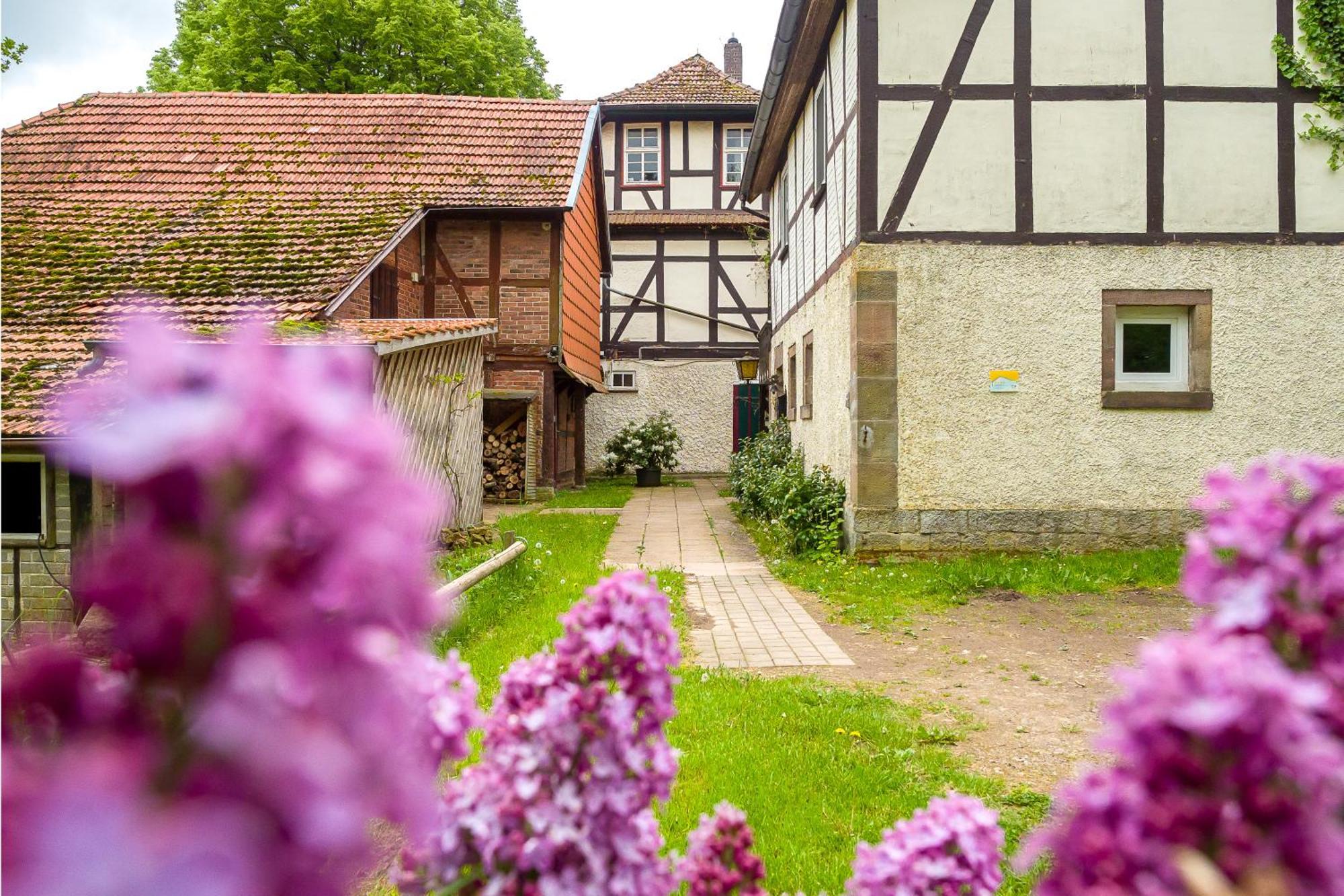 Forsthaus Halbemark Villa Bad Sooden-Allendorf Exterior photo