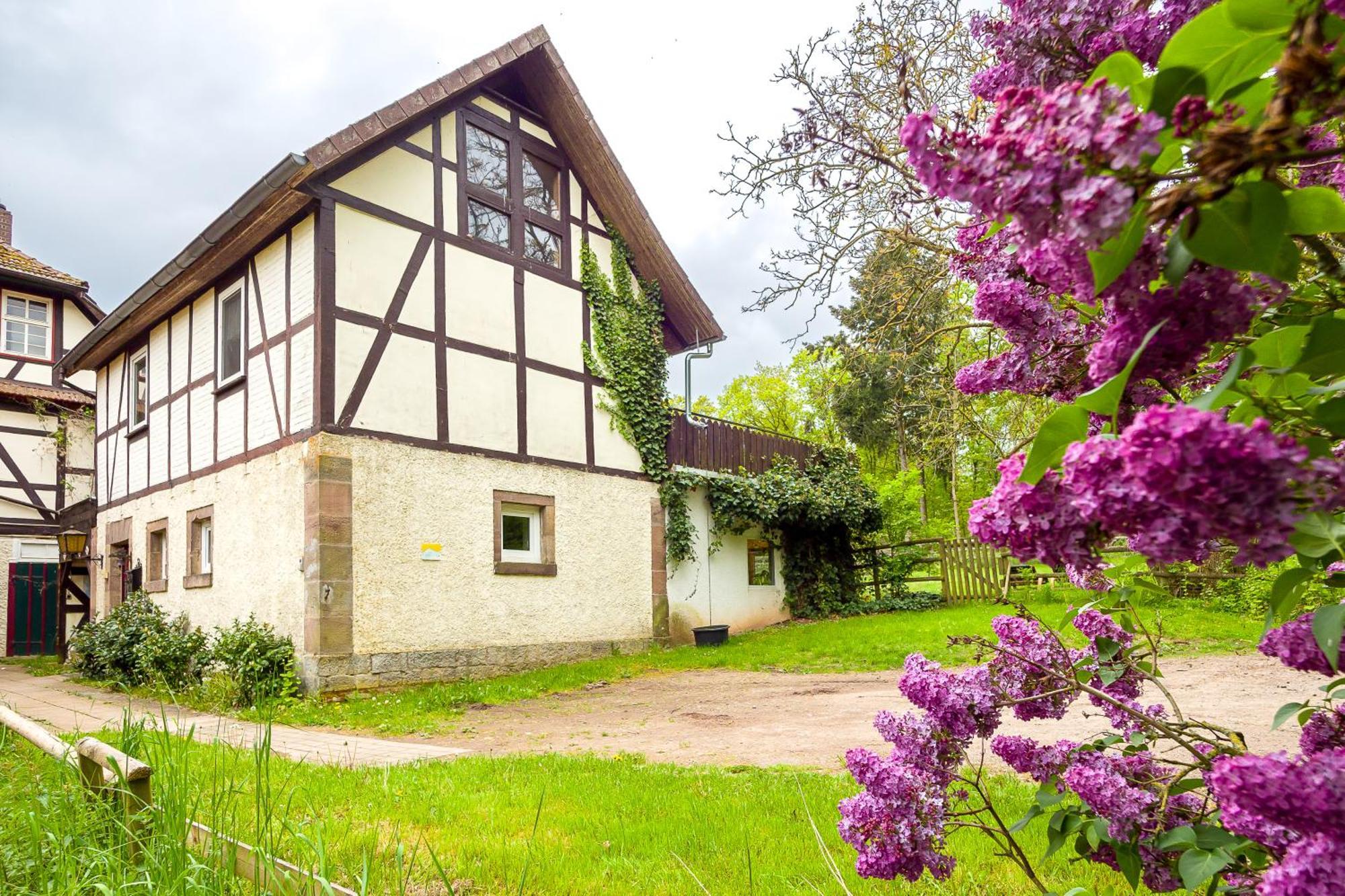 Forsthaus Halbemark Villa Bad Sooden-Allendorf Exterior photo